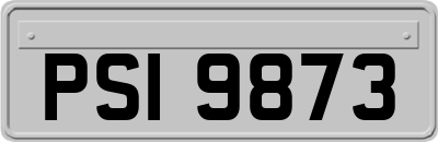PSI9873