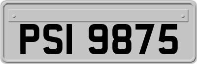 PSI9875