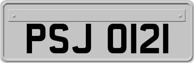 PSJ0121
