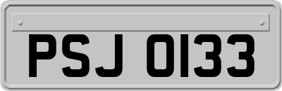 PSJ0133