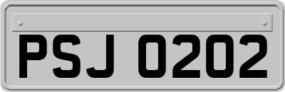 PSJ0202