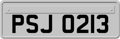 PSJ0213