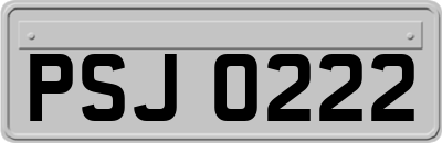 PSJ0222