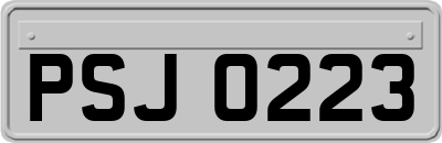 PSJ0223