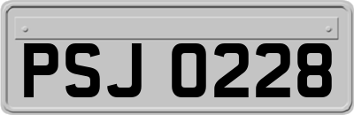 PSJ0228