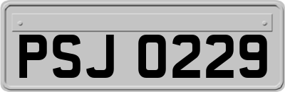 PSJ0229