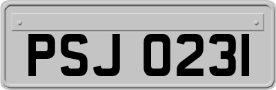 PSJ0231