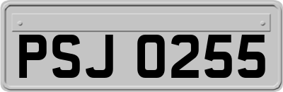PSJ0255