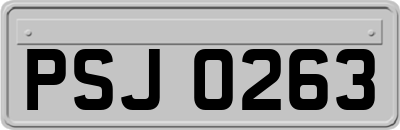 PSJ0263