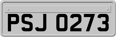 PSJ0273