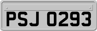 PSJ0293