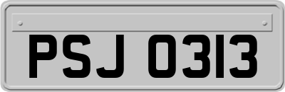 PSJ0313