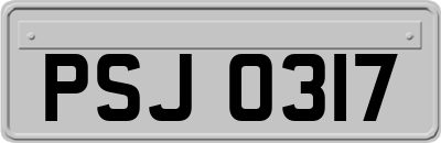 PSJ0317