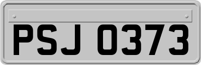 PSJ0373