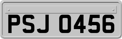 PSJ0456