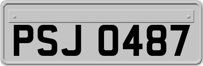 PSJ0487