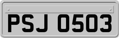 PSJ0503