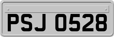 PSJ0528
