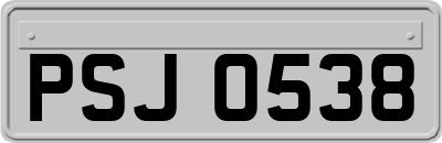 PSJ0538