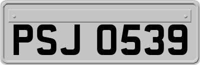 PSJ0539