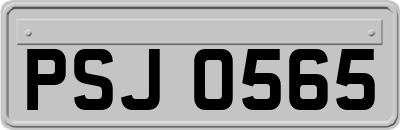 PSJ0565