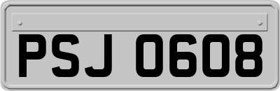 PSJ0608