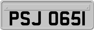 PSJ0651