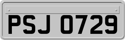PSJ0729