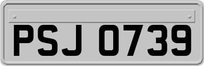 PSJ0739