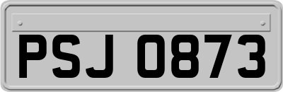 PSJ0873