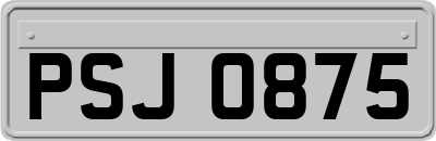 PSJ0875