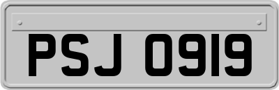 PSJ0919