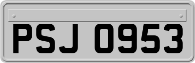 PSJ0953