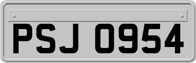 PSJ0954