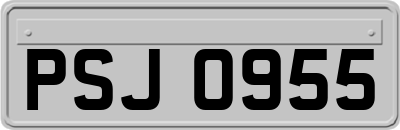 PSJ0955