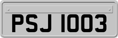 PSJ1003