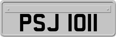 PSJ1011