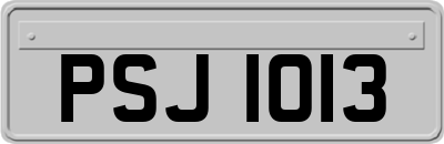 PSJ1013