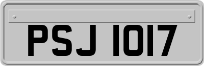 PSJ1017