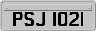 PSJ1021