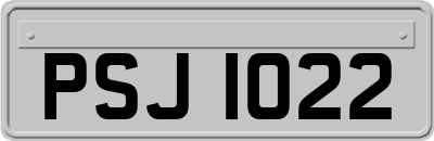 PSJ1022