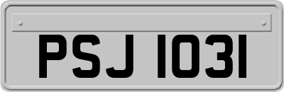 PSJ1031