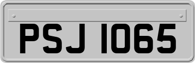 PSJ1065