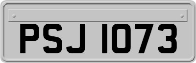 PSJ1073