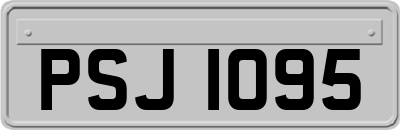 PSJ1095