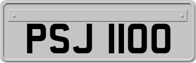 PSJ1100