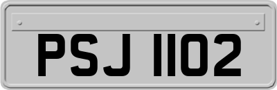 PSJ1102