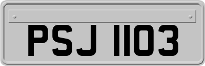 PSJ1103