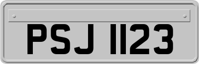 PSJ1123