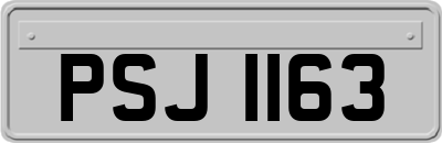 PSJ1163